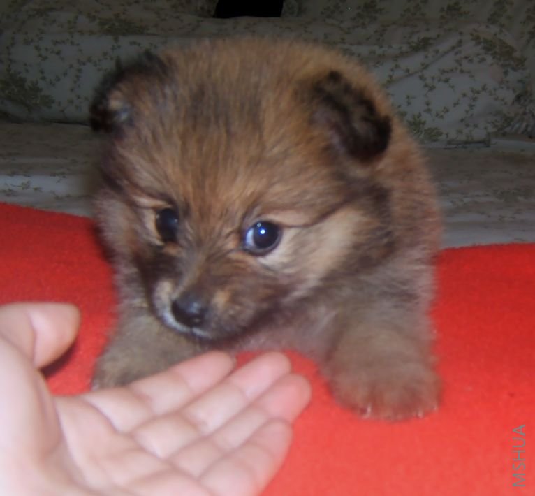 ȥ��ά��ҵĻ�����ҧ����