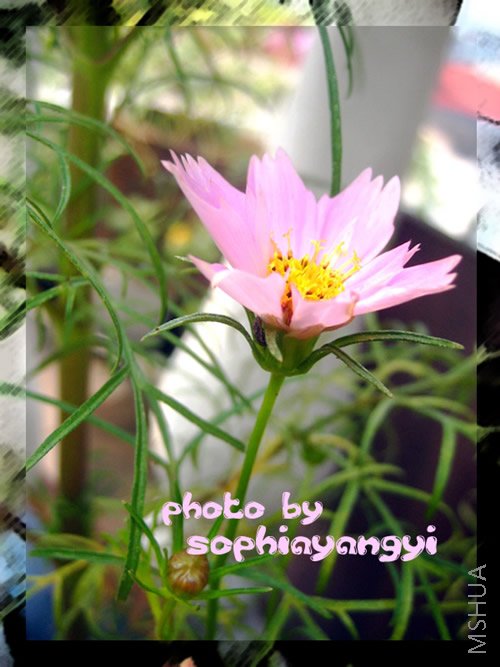 �ܲ�.���ǹ��ӿ���������.����?�����˻�?