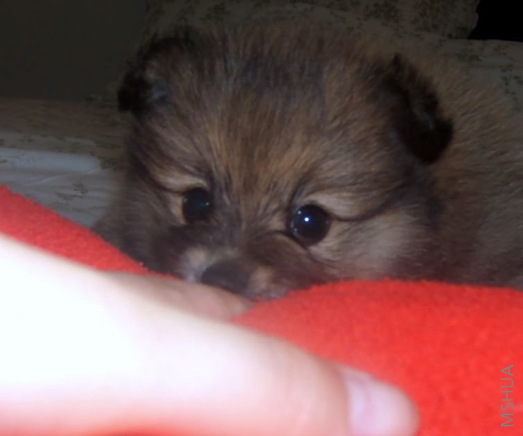 ���㵨С�ģ�����֪���ǰ��ǸɵΣ�