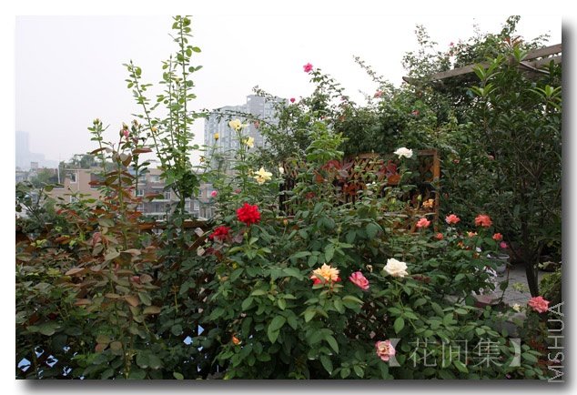 IMG_3901 ����.jpg