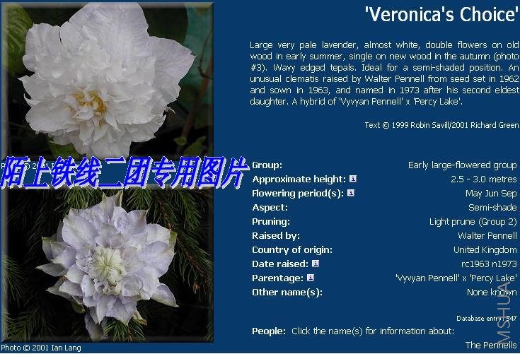 c21'Veronica's Choice'��.JPG