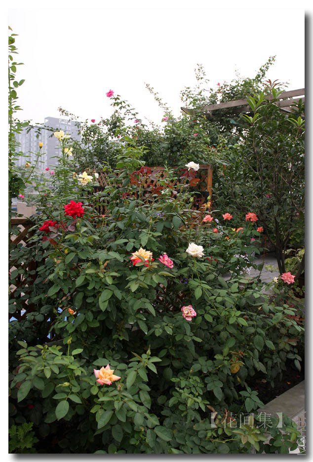 IMG_3900 ����.jpg