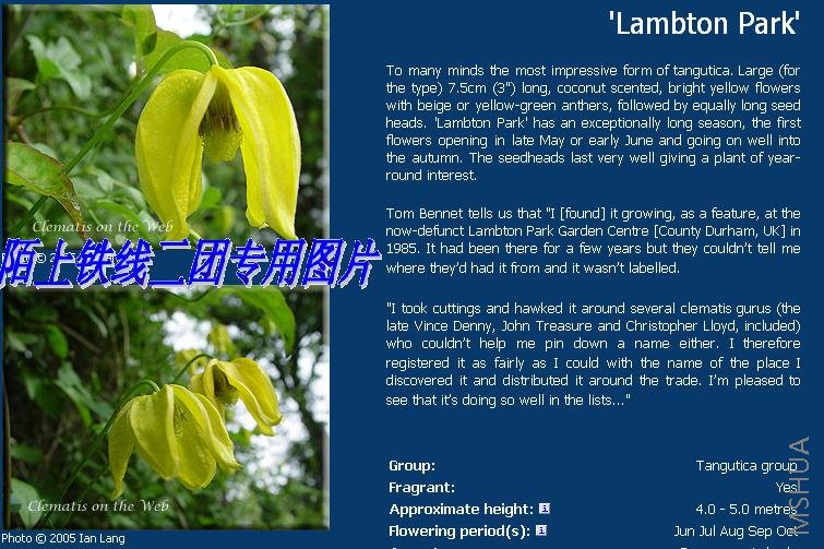 c24'Lambton Park'.JPG