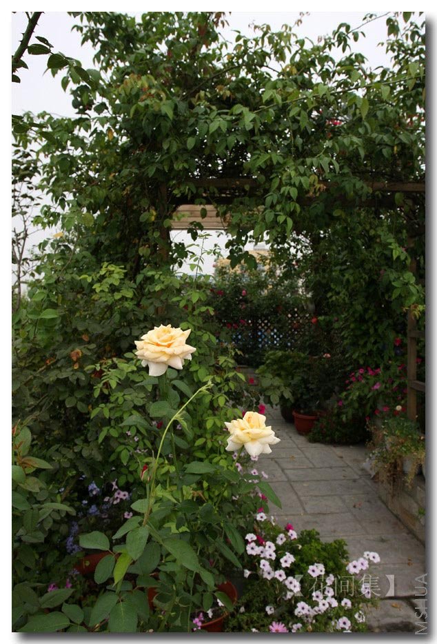 IMG_3904 ����.jpg