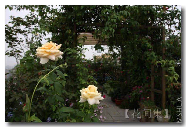 IMG_3905 ����.jpg