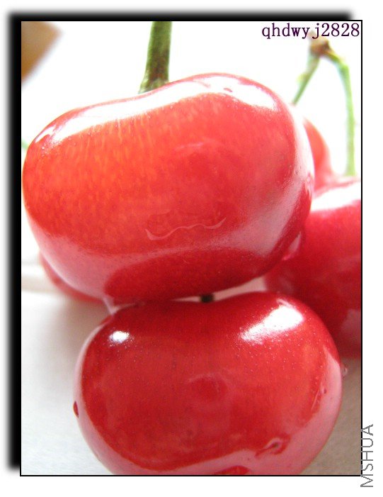 ���� 476.jpg