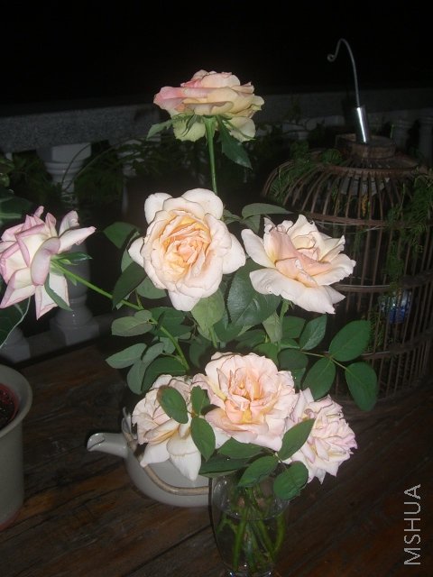 ��ת CIMG9321.JPG