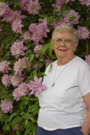 C20  Proteus  �Ʊ��ϣ������.jpg