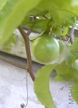 ������