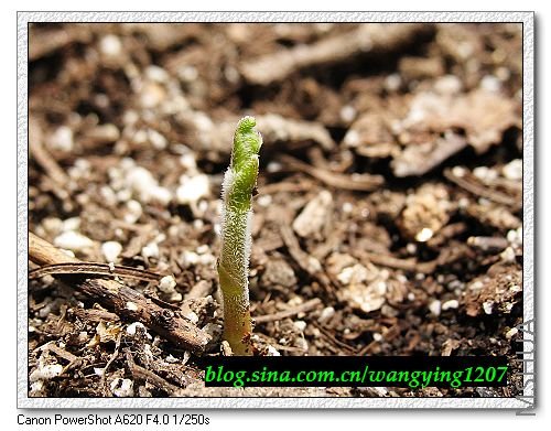 nEO_IMG_8,1�� 019.jpg