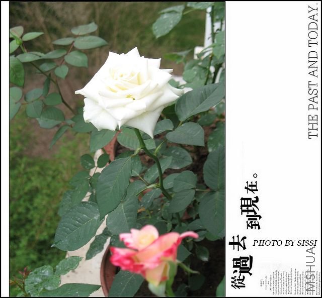 �ּ�̹���~