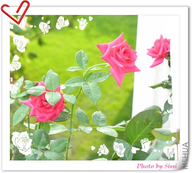 ���Ʒ�����Ʋ��꣬��֪����λ��ʶ��