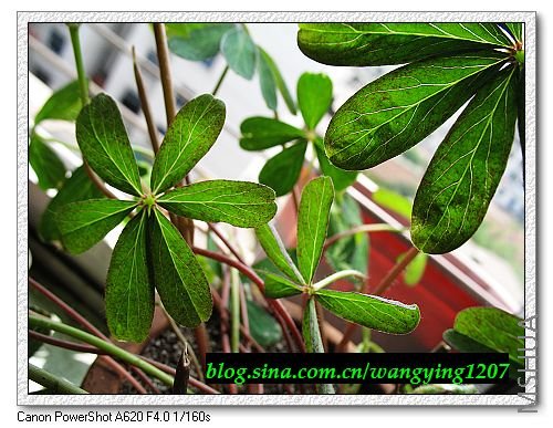 nEO_IMG_8,1�� 028.jpg