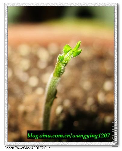 nEO_IMG_8,1�� 042.jpg