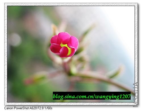 nEO_IMG_8,1�� 001.jpg