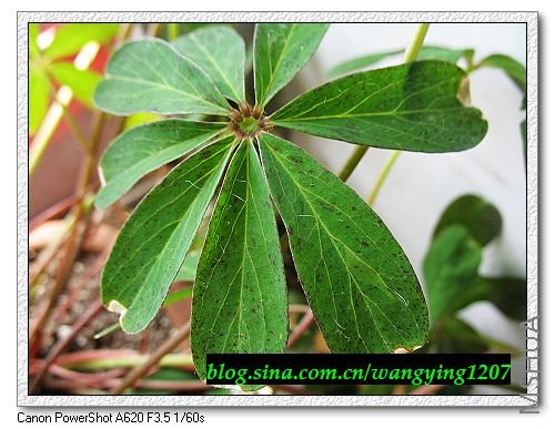 nEO_IMG_8,1�� 027.jpg