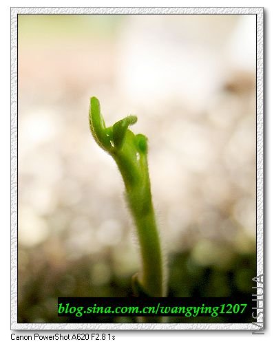 nEO_IMG_8,1�� 034.jpg