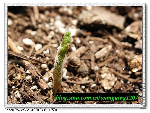 nEO_IMG_8,1�� 022.jpg