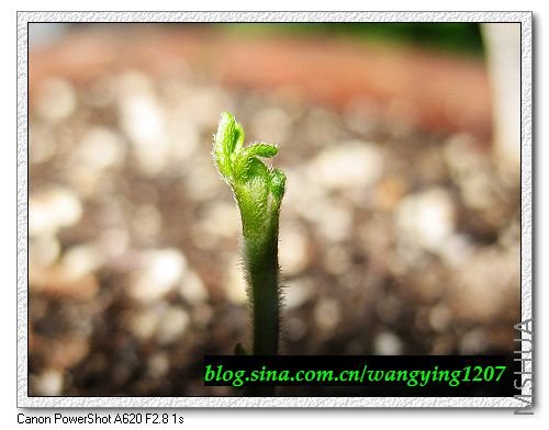 nEO_IMG_8,1�� 030.jpg