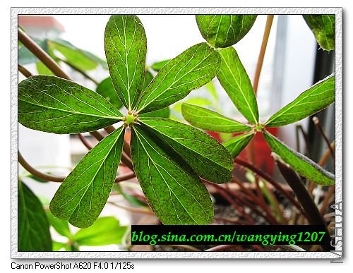 nEO_IMG_8,1�� 029.jpg