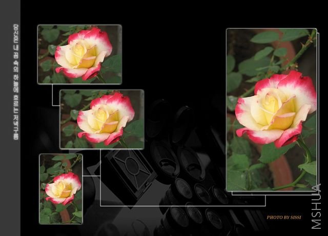 ��˫ϲ���ϰֵ��~