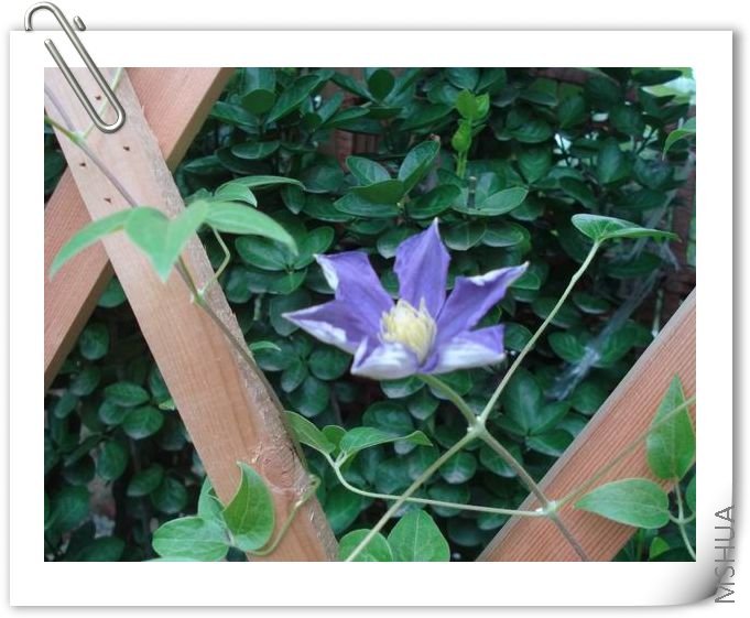 ����û�ò�ʱ�տ�������