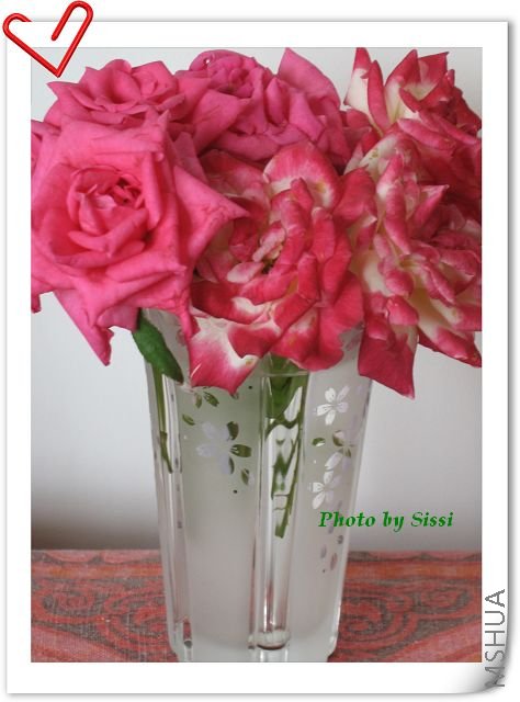 �ڡ���ˡ�����֮ǰ�ѻ��������²廨ƿ����