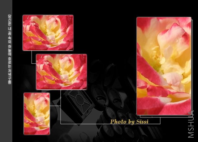 ����Ϯ��~