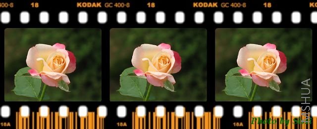 �����۵�С����Ҳ�Ĳ���~