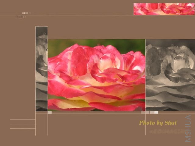 ���޵�һ��...