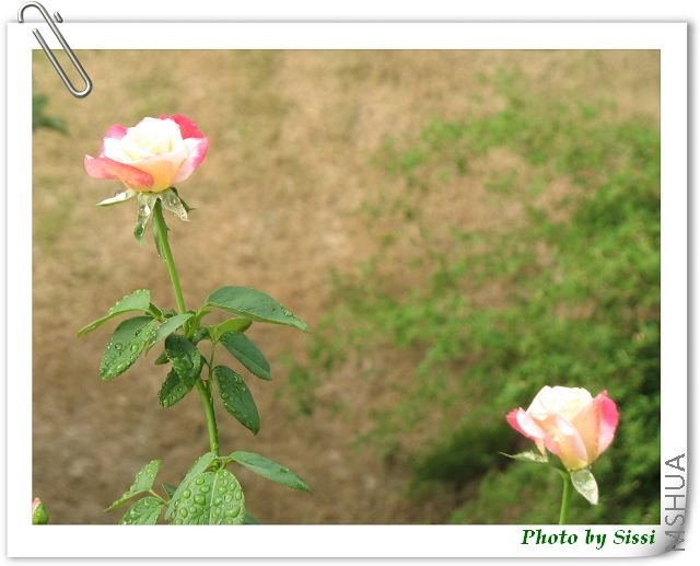 �ڶ���Ļ��������......