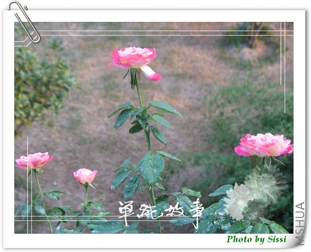 ��ʵ�������Ľ���