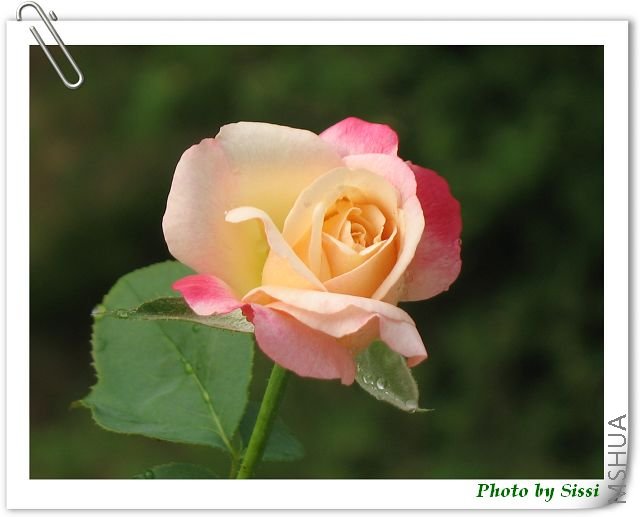 �ܸо�����ʱ�Ļ�����ɰ�