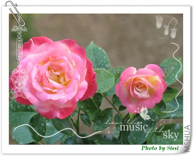 �������ϸ�Ӱ��~