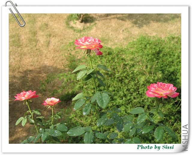 ����ʱ������ƽ�������