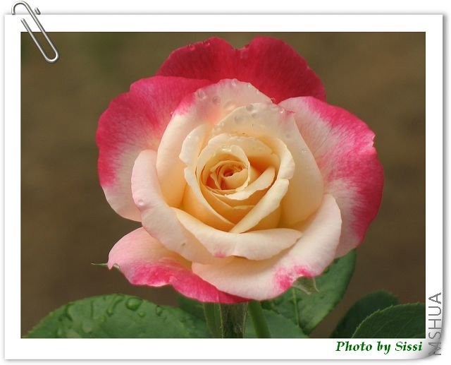 �Ŵ�Щ~������Ů�ߺ����......