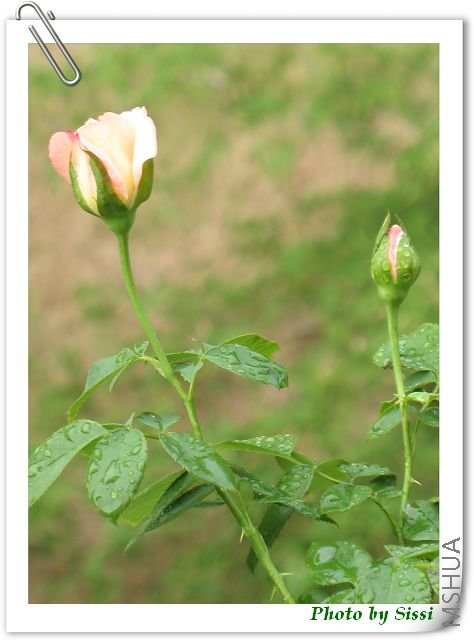 ĳ������ϻ��ٿ�ʼ����~