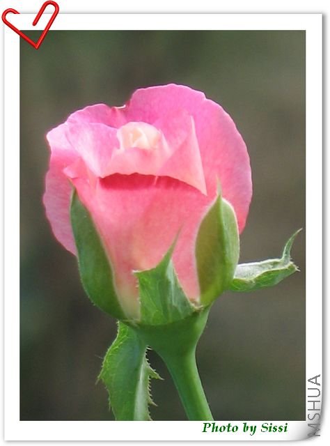 ����һ�������̫��ԡС���ͱ�ú�ͮͮ��