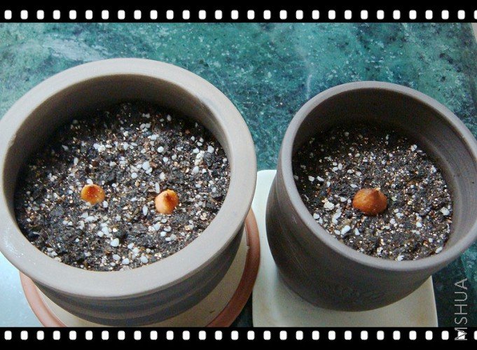 ��������������е�С��˵