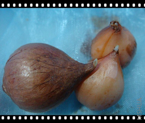 �ֺ����ĺܿɰ���