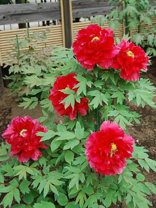 md    ����_1.jpg