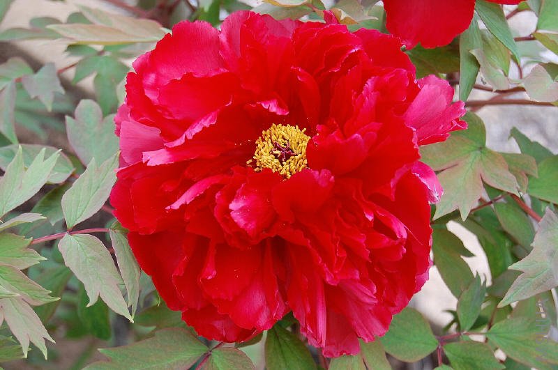 md     ����_1.jpg