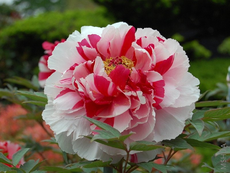 md        ����_1.jpg