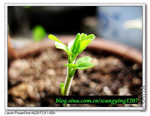 nEO_IMG_8,5�� 018.jpg