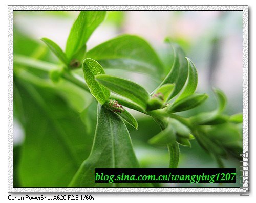 nEO_IMG_8,6�� 010.jpg