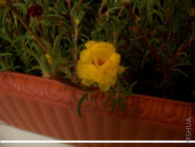 ���Ͽ��ŵ�̫����