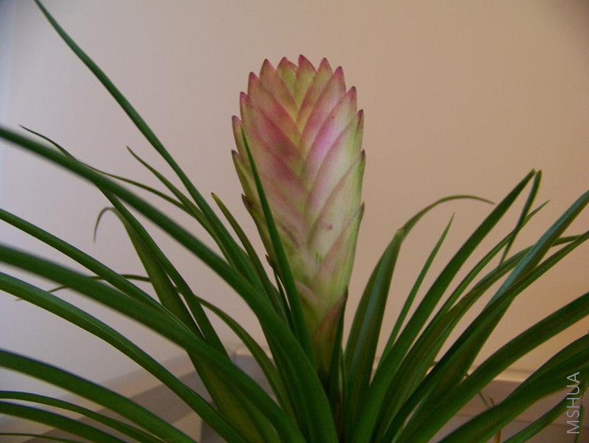 ���û�д������