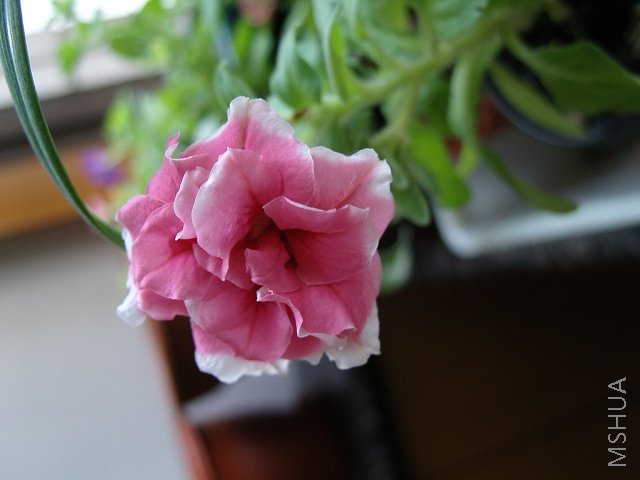 ǰ��տ��ķ�ɫ��ת����С��ҲС��ͬʱ���ı���ɫ����20����