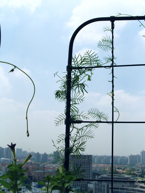 лл��ת���������ķ��࣬������÷�갤����̨�磬�л�����