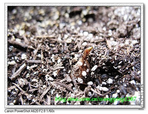 nEO_IMG_8,7�� 010.jpg